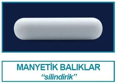 ISOLAB Manyetik Balık - Silindirik - 35 x 6 mm - 1 Adet