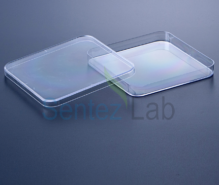 Biosigma Petri Kutusu Plastik PS 120 mm Kare Steril 20 Adet