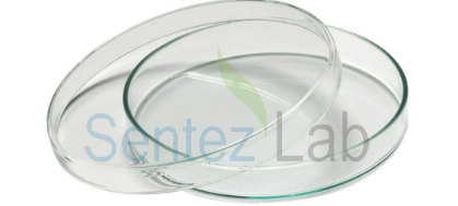 Petri Kutusu Cam  60x15 mm 18 Adet