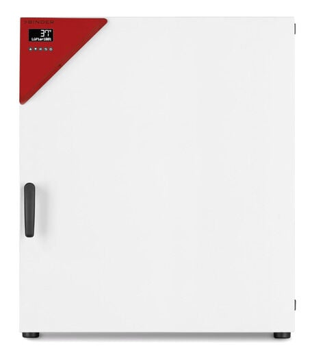 BINDER BD 260 Doğal Hava Dolaşımlı Standart İnkübatör – 253 L