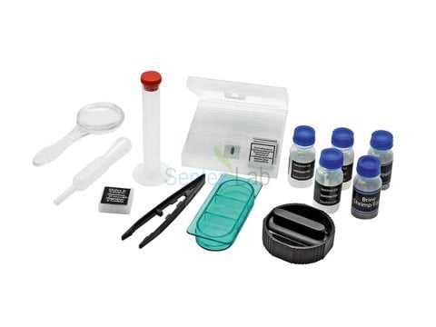 POLARİZE MİKROSKOP