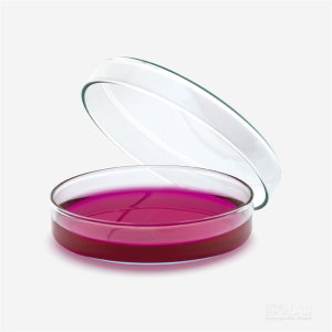 İSOLAB 081.01.120 petri kutusu - cam - 120 x 20 mm (18 adet)