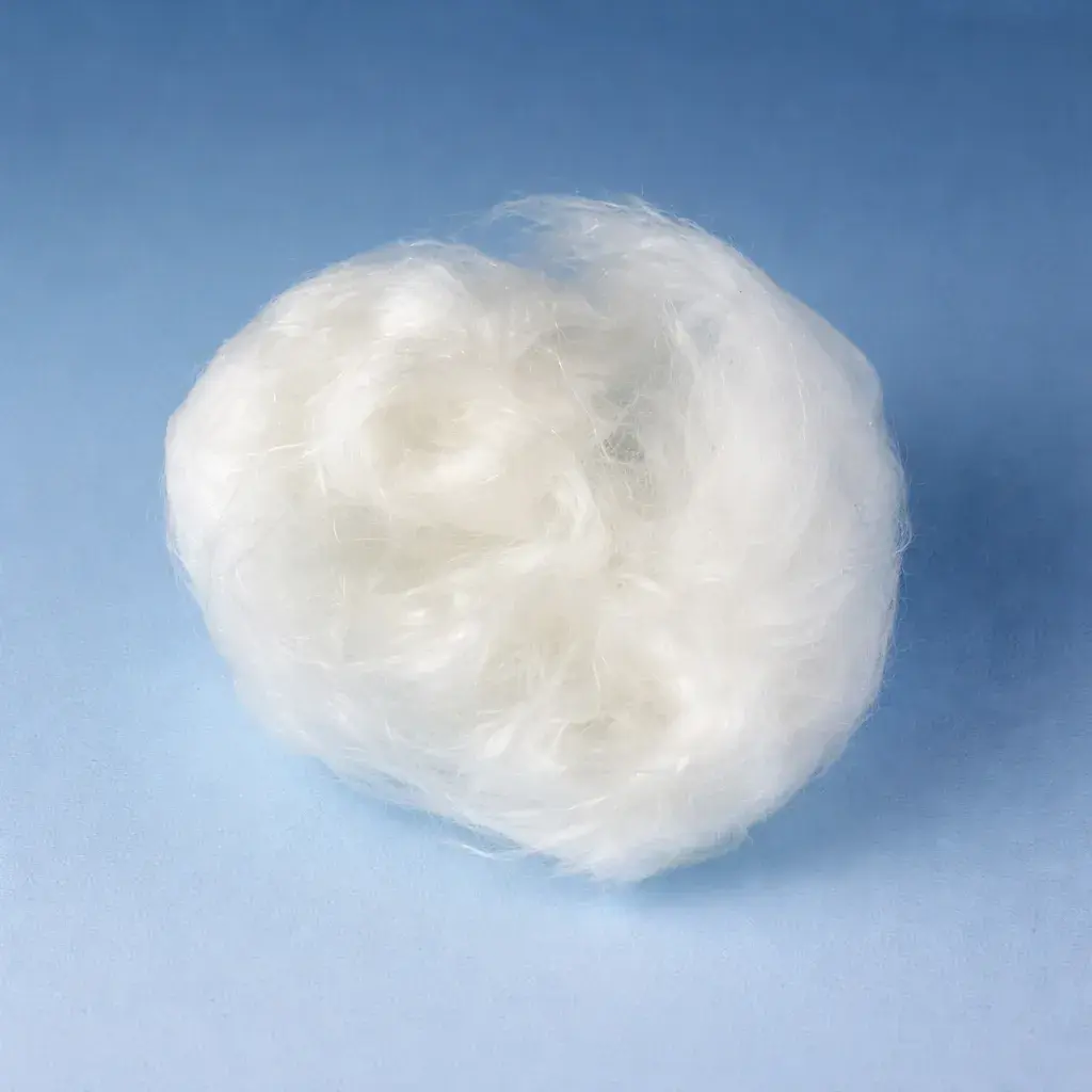 Karl Hecht Assistent Cam Yünü