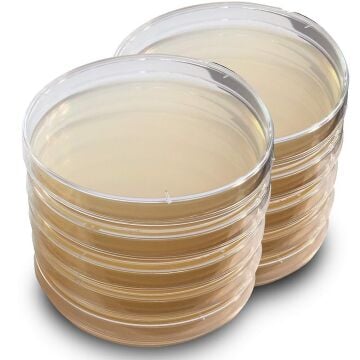 Saboraud Dextrose Agar Petride Hazır Besiyeri | Hypet Media | 30 Adet