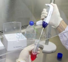Tip Biosystems Photopette® Bio Taşınabilir UV-Vis Spektrofotometre