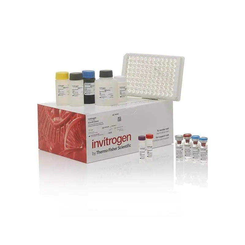 THERMO BMS2033 ELISA Kiti - PAI-1 İnsan ELISA, 1 Adet