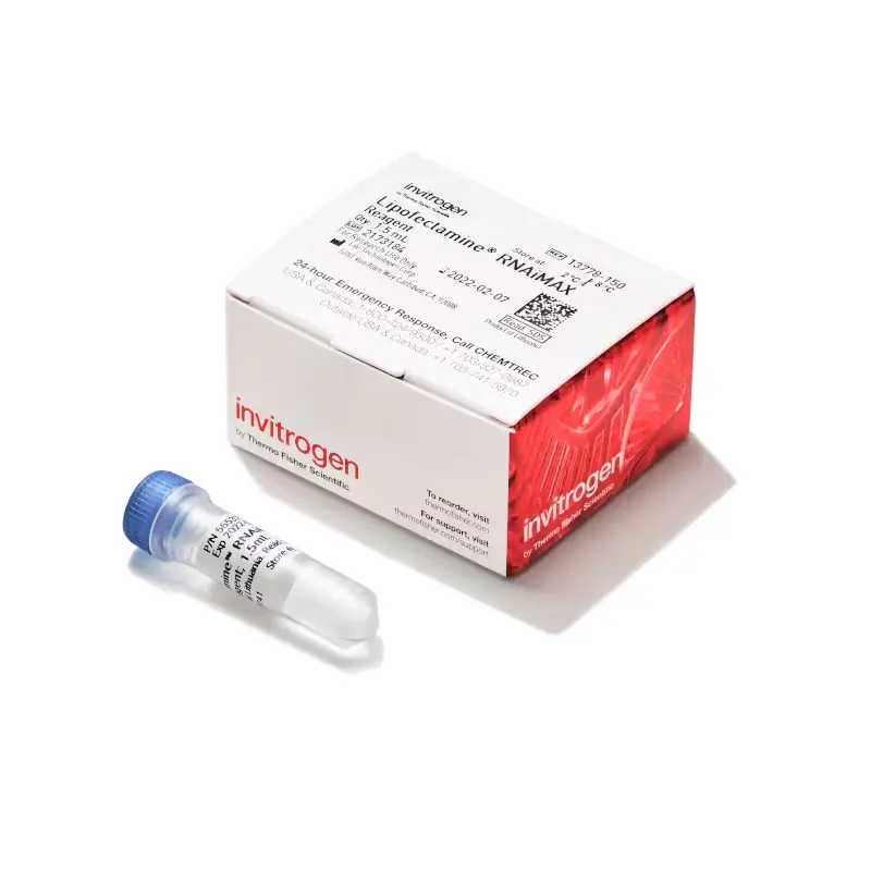 THERMO 13778150 Transfeksiyon Reaktifi - Lipofectamine™ RNAiMAX Transfection Reagent 1,5ml, 1,5 mL