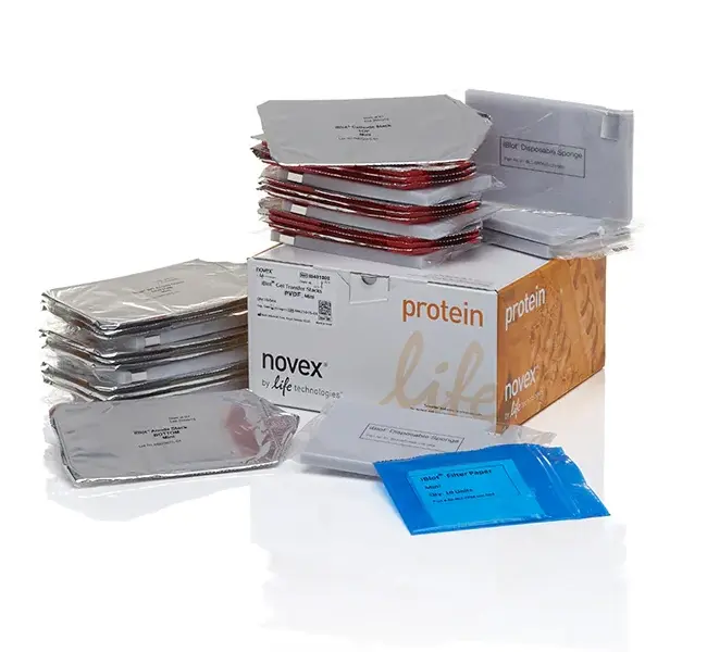 THERMO IB401002 PVDF Membran - iBlot™ Transfer Stack, PVDF, mini, 10 sets, 10 SetS