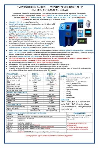 MP Minipure Basic M 100