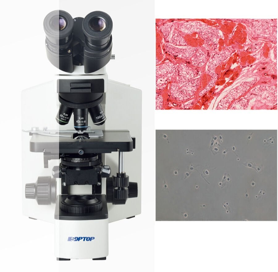 CX40-T Trinoküler Faz Kontrast Laboratuvar Mikroskobu