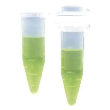 ISOLAB  Tüp - Santrfüj - Mikro - Düz Kapaklı - 0,5 Ml - Steril 500 Adet