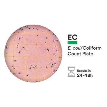 3M™ 6404 Petrifilm™ E.Koli / Koliform Sayım Plakaları 50 Adet