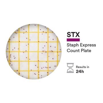 3M Petrifilm Staph Aureus Sayım Plakası 50 Adet