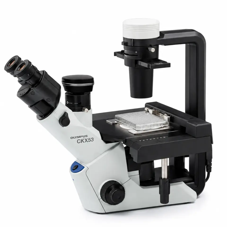 Olympus CKX53 Inverted Mikroskop – Hücre Kültürü ve Faz Kontrast Mikroskobu