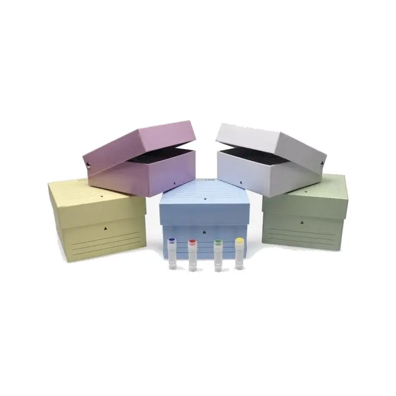 ISOLAB  Cryo Tüp Kutusu - Karton - 2 Ml Tüpler İçin - Geçme Kapaklı - Beyaz