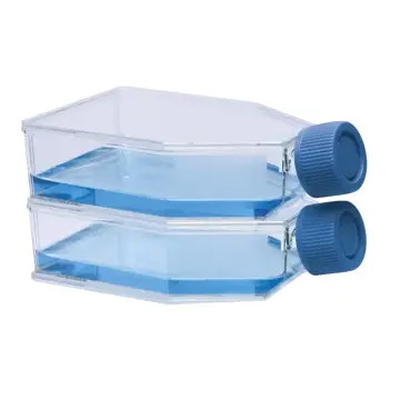 ISOLAB  Şişe - Hücre Kültürü - Geçirgen Kapaklı - 75 Cm2 - 25 Ml 100 Adet
