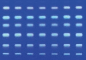 MERCK 105560 Aluminum TLC plates, RP-18 modified silica gel coated with flourescent indicator F254s. The RP-18 modified silica gel TLC plates come in a quantity of 20 size 5x7.5 cm for thin layer chromatography applications