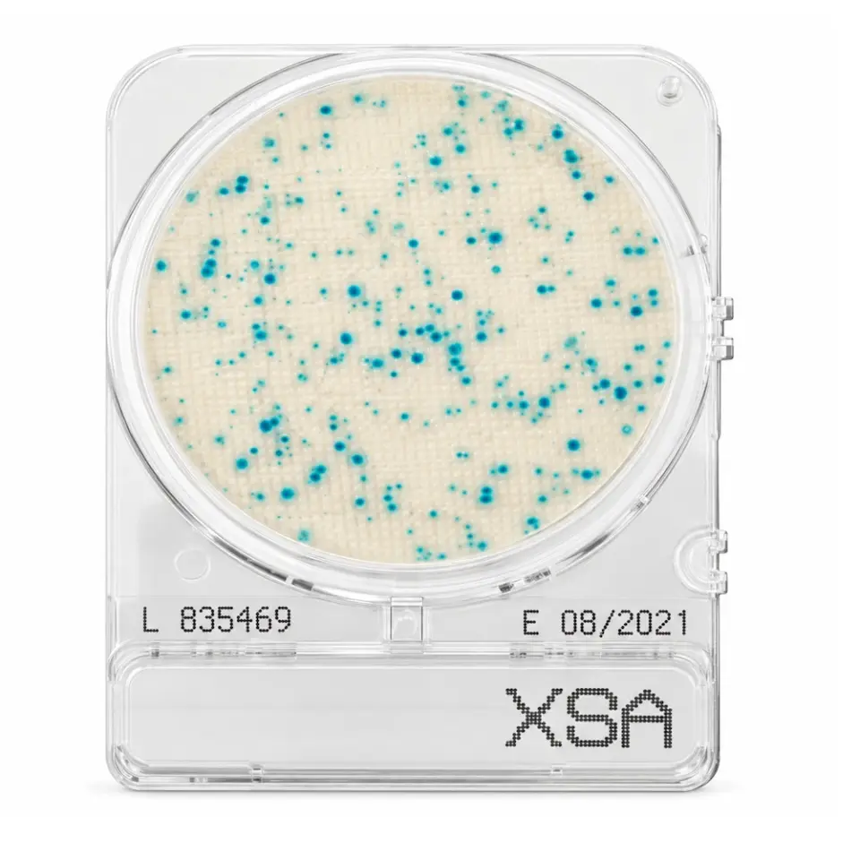 Shimadzu Compact Dry X-SA Staphylococcus aureus Sayımı - 4 Adet/Paket