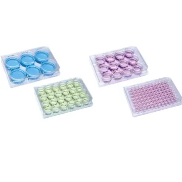 ISOLAB  Plak - Hücre Kültürü - Düz Kuyulu 0,2 Ml 100 Adet