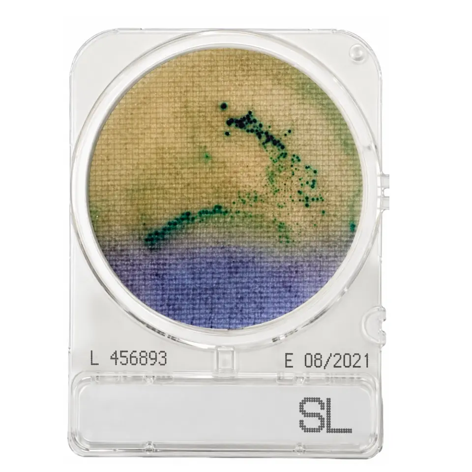 Shimadzu Compact Dry SL Salmonella Var/Yok Testi - 4 Adet/Paket