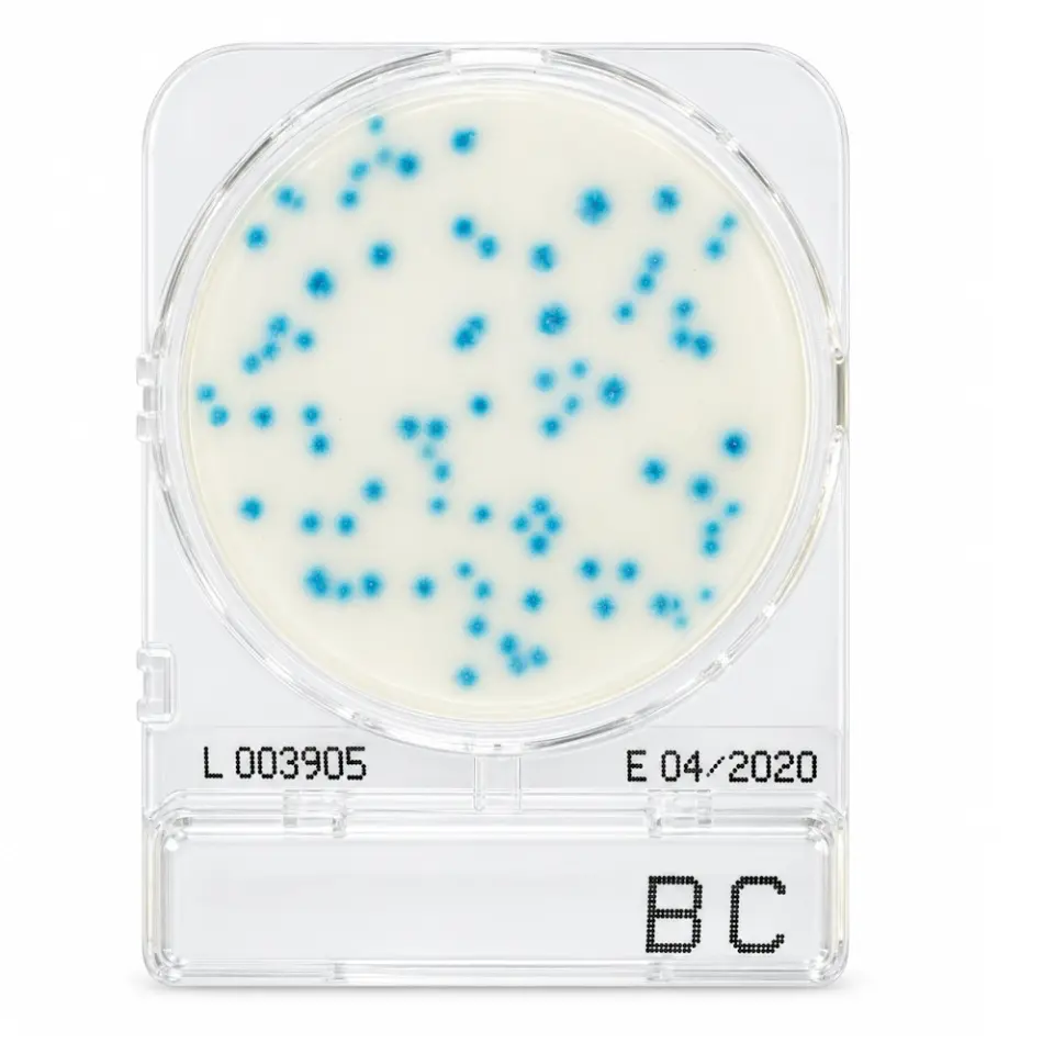 Shimadzu Compact Dry BC Bacillus cereus Sayımı - 4 Adet/Paket