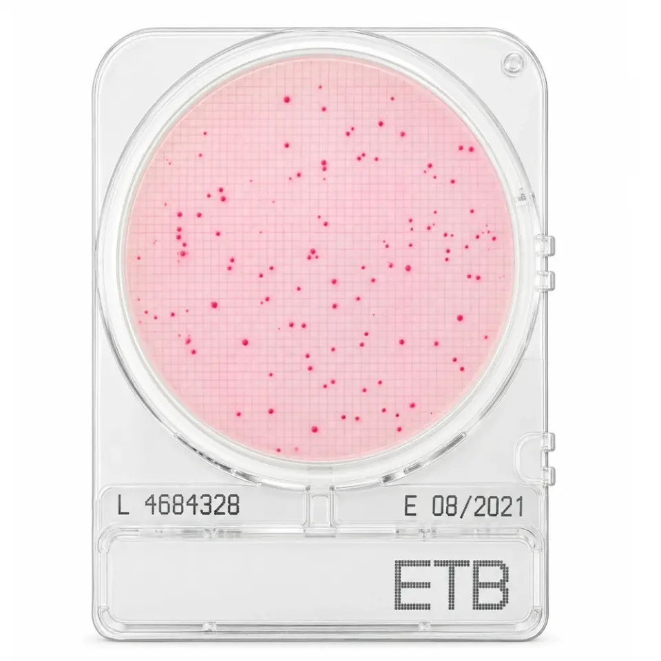 Shimadzu Compact Dry ETB Enterobacteriaceae Sayımı - 4 Adet/Paket
