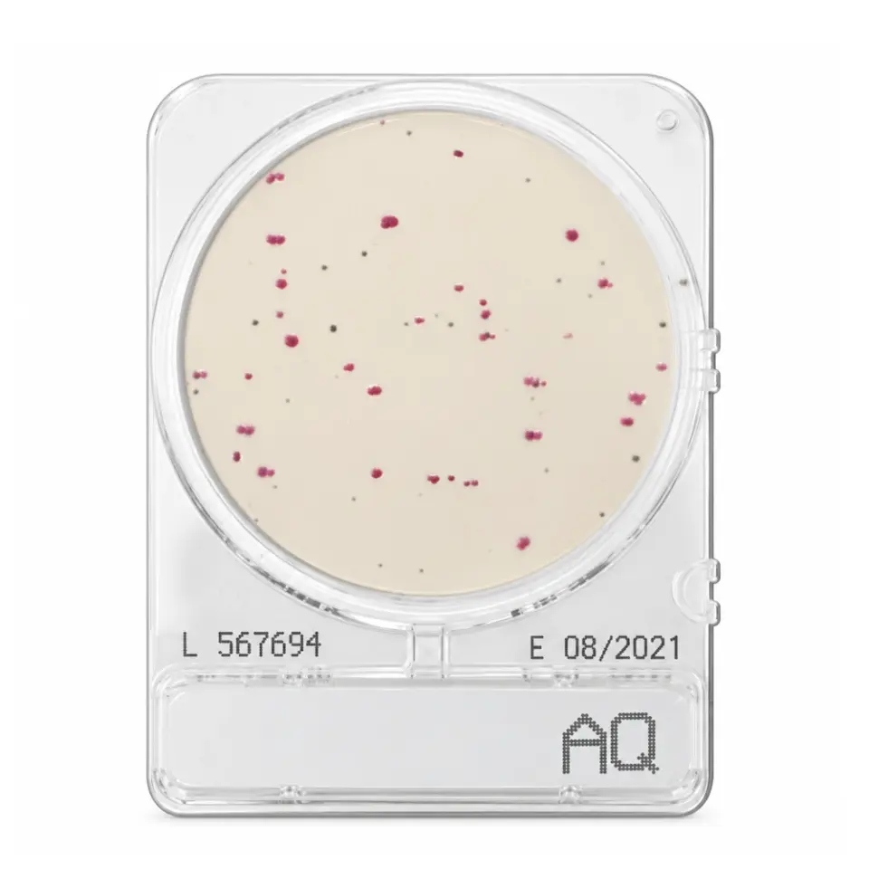 Shimadzu Compact Dry LM Listeria monocytogenes Sayımı - 4 Adet/Paket