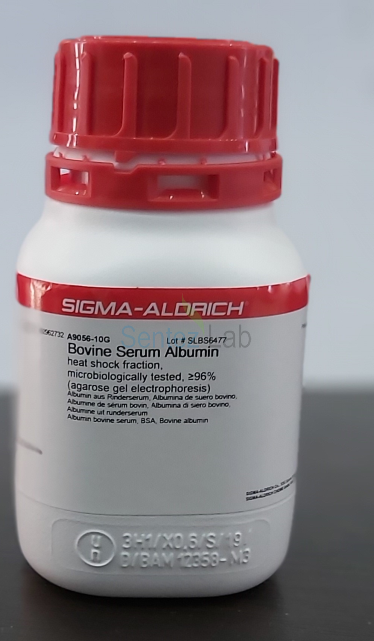 Bovine Serum Albumin