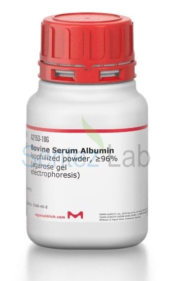 Sigma Aldrich A2153 Bovine Serum Albumin lyophilized powder ≥96% (agarose gel electrophoresis) Cas 9048-46-8 10 gr