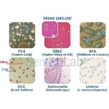 Hytech Slide Salmonella / Listeria Hızlı Tespit Testi | 30 Adet