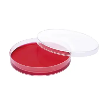 ISOLAB  Petri Kutusu - P.S - 60 X 15 Mm - Gamma Steril 500 Adet