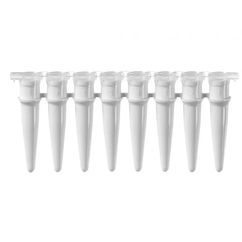 Gunster 0.2 ml 8'li PCR Strip Tüp Düz Kapak Gama Steril