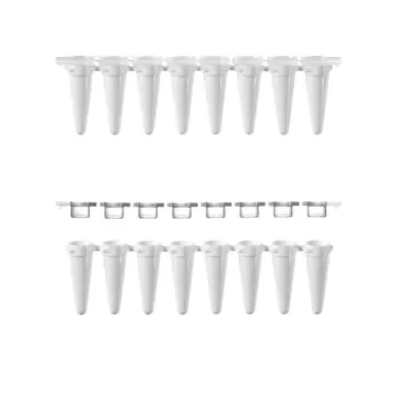 Gunster 0.1 ml 8'li Beyaz qPCR Strip Tüp Optik Kapak