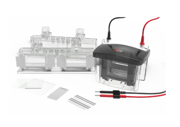 DLAB DL-Mini04 Dikey Elektroforez Tankı