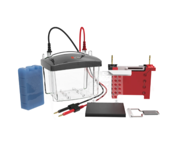 DLAB DL-ZY03 Transfer Elektroforez Tankı | 2 Adet 8.3×7.3 cm Jel Aynı Anda Transfer