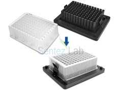 Biosan TS-DW Termal Çalkalayıcı Pleytler İçin