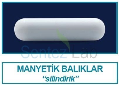İSOLAB 057.01.015 manyetik balık - 15 x 6 mm 1 Adet