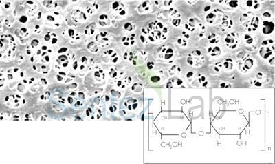 Rejenere Selüloz Membran Filtre Gözenek Çapı : 0,2 μm Filtre Çapı : 47 mm 100 Adet