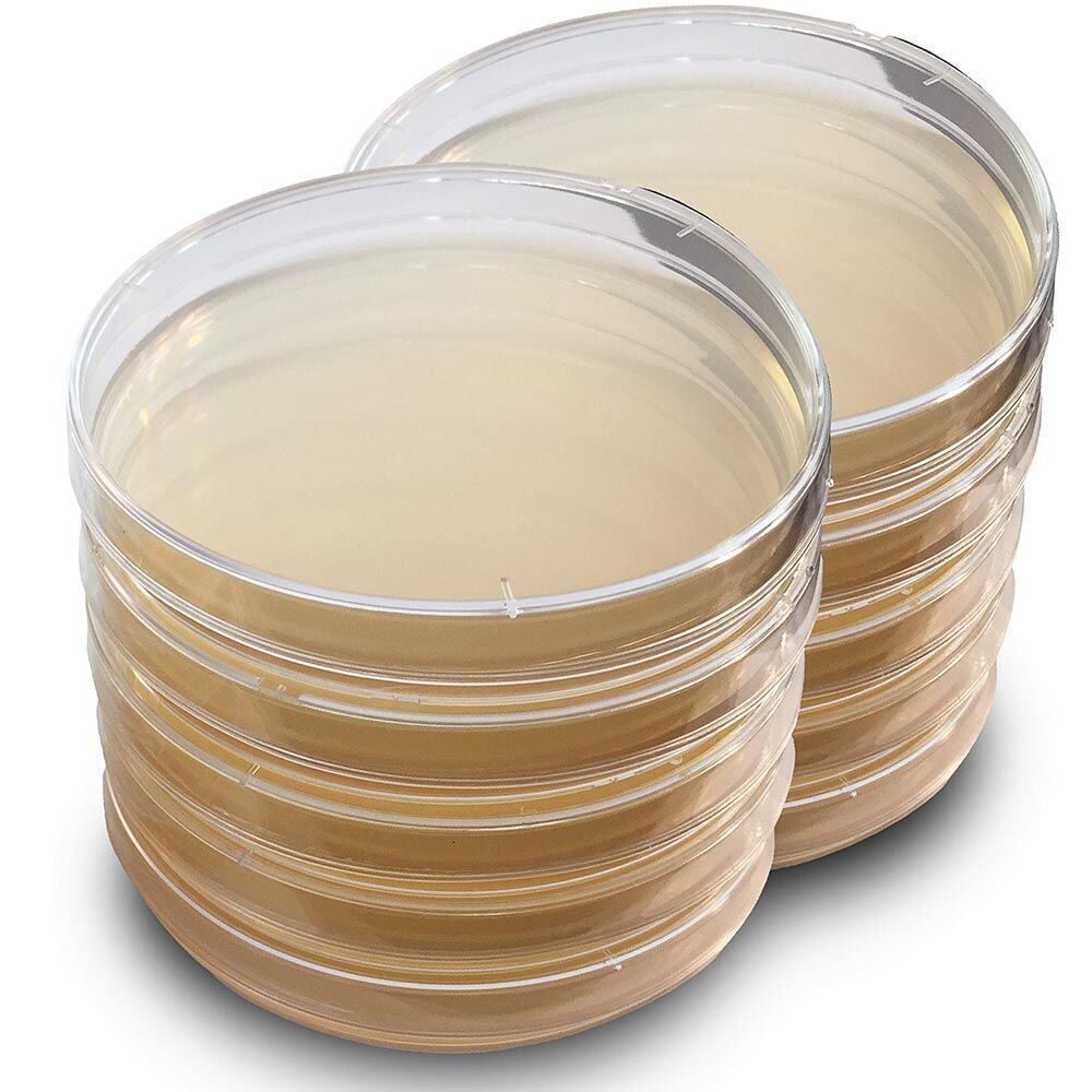 Hypet Media MacConkey Agar Petri 10 Adet -  Hazır Besiyeri