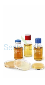 Merck 101298 Coliforms 100 Readycult®  Sularda Var/Yok Tayini 1 X 20 Test