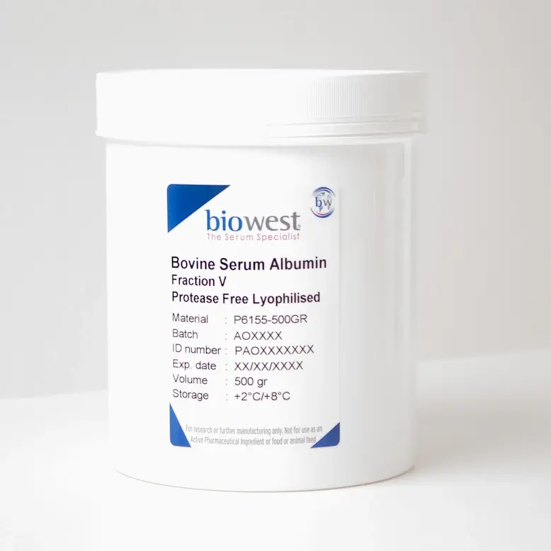 Biowest Bovine Serum Albumin Protease Free Lyophilised - 100g