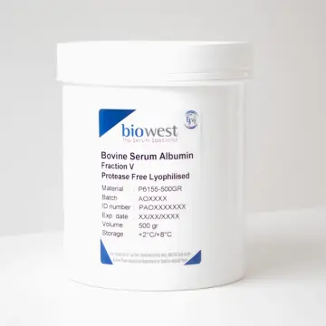 Biowest Bovine Serum Albumin Protease Free Lyophilised - 100g