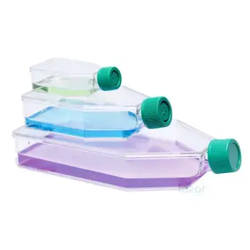 ISOLAB Hücre Kültür Flaskı 75 cm² – Delikli Kapak -  Steril - 1 Koli