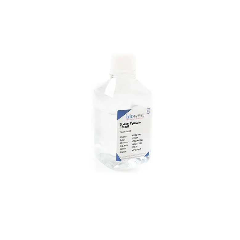 Biowest Sodium Pyruvate 100 mM - 100ml