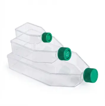ISOLAB Hücre Kültür Flaskı  25 cm² – Düz Kapak -  1 Koli