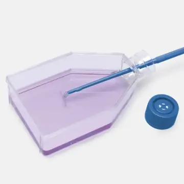 ISOLAB Hücre Kültür Flaskı  75 cm² – Düz Kapak -  1 Koli