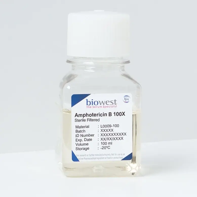 Biowest Amphotericin B - 100ml