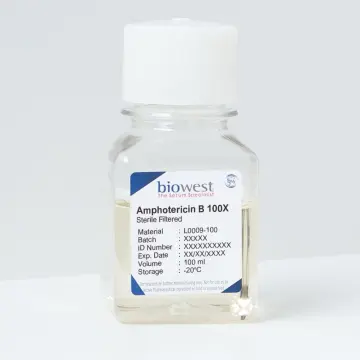 Biowest Amphotericin B - 100ml