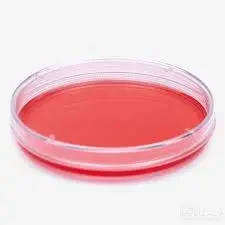 ISOLAB 120.13.090 Hücre Kültürü Petri Kutusu 90 mm - 500 Adet