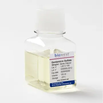 Biowest Gentamicin Sulfate 50 mg/ml - 100ml